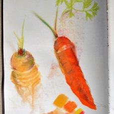Carrot pastel and collage studies